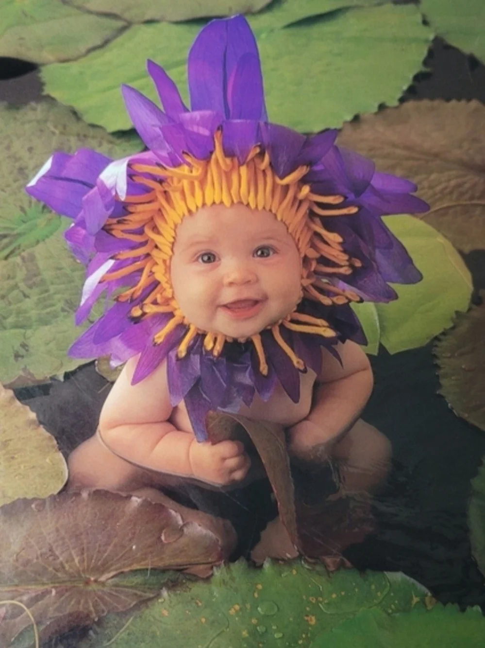 Vintage Anne Geddes Baby In Lily Pads 550 Piece Puzzle